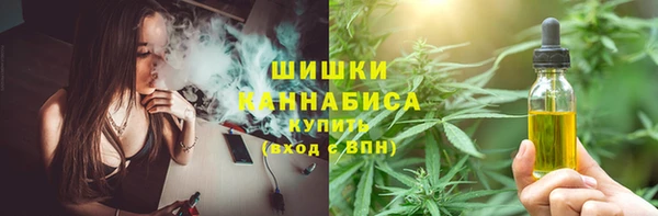 индика Богородицк